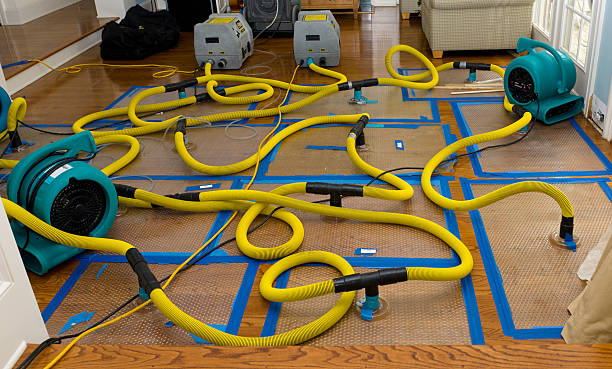 Professional Basement Flood Cleanup technician working in Yadkinville, NC
